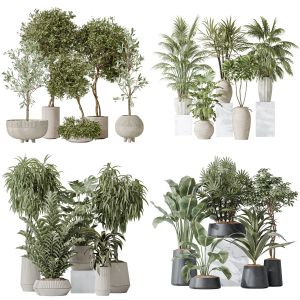 5 Different SETS of Plant Indoor. SET VOL167