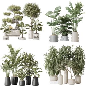 5 Different SETS of Plant Indoor. SET VOL169
