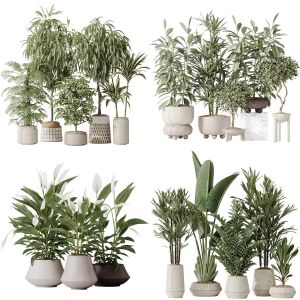 5 Different SETS of Plant Indoor. SET VOL173