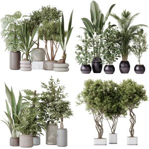 5 Different SETS of Plant Indoor. SET VOL174