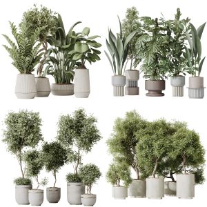 5 Different SETS of Plant Indoor. SET VOL175