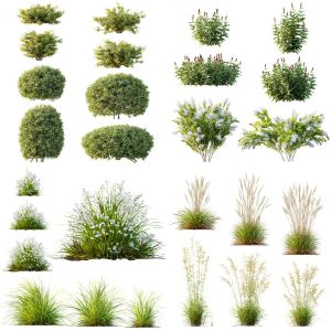 5 Different SETS of Plant Bush and Grass. SET VOL177