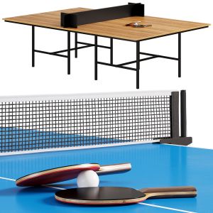 Ping Pong Table Dan