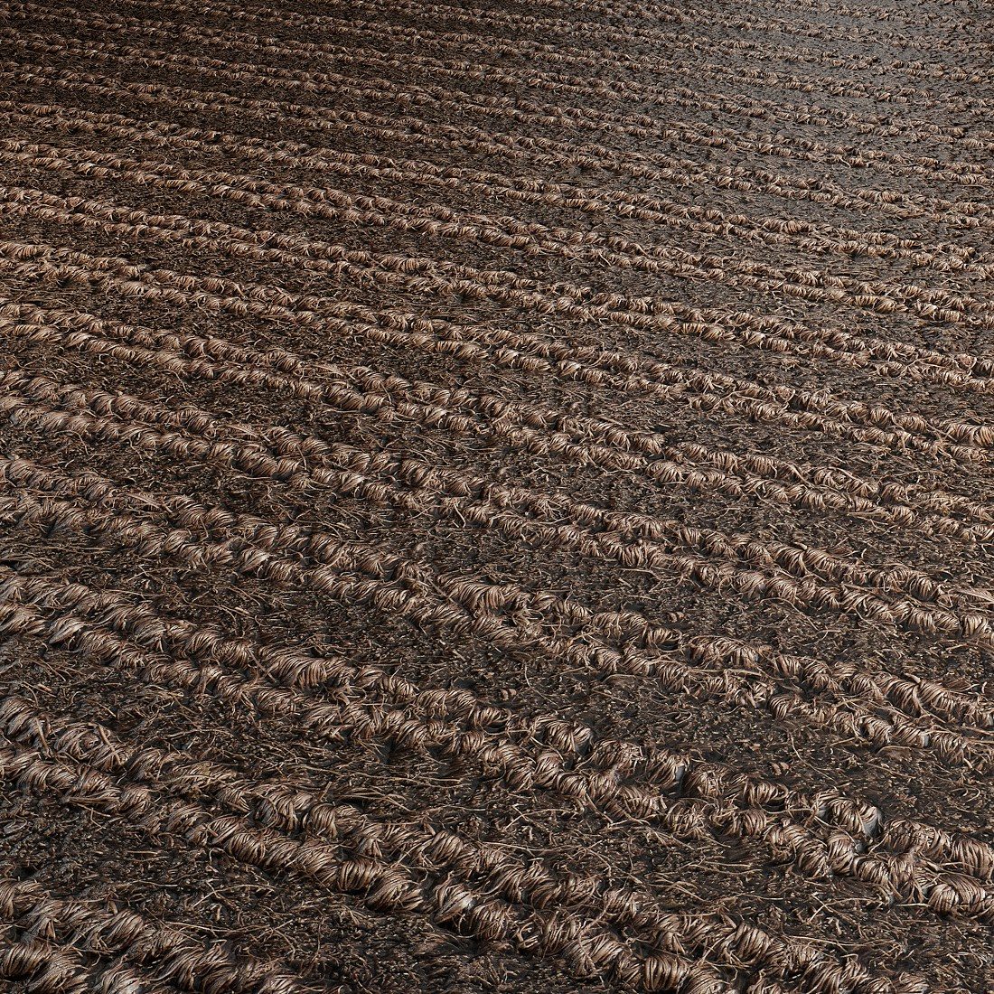 Pbr Rug Rug Porta Cut-loop 60081 4k Pbr Seamless Material Texture / PBR ...