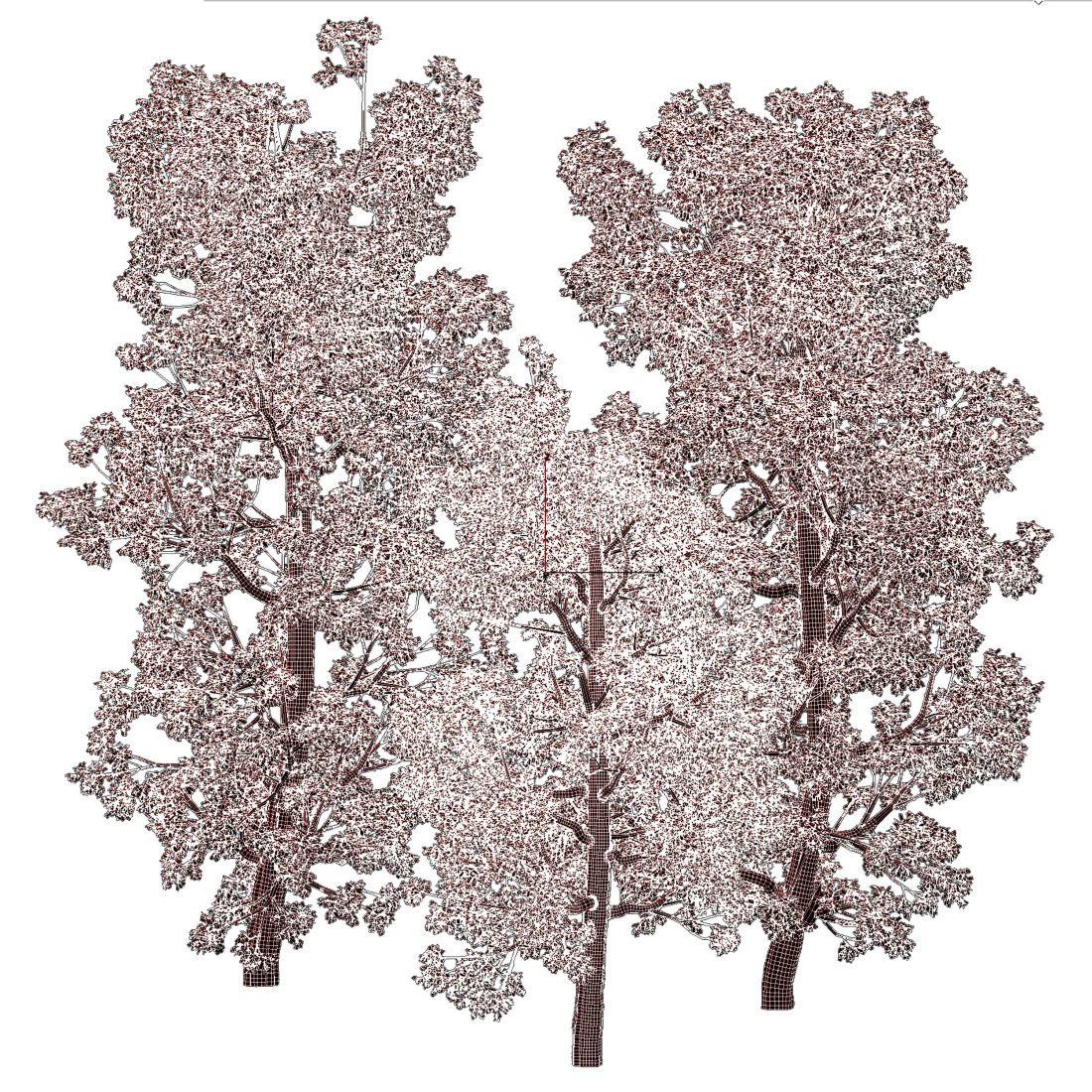 Broadleaf Tree Set 08 3D Model for VRay, Corona | CGMood