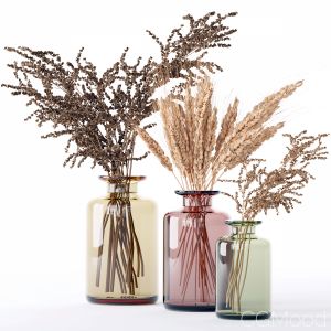 Wheat And Dry Grass In A Vase