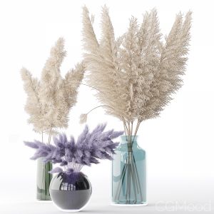 Dry Grass In A Vase