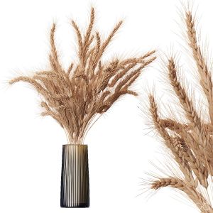 Bouquet Of Spikelets In A Vase