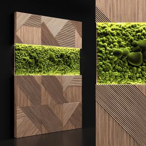 Wooden Panels And Stabilized Moss
