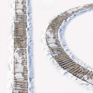 Ultra Realistic Snow Wooden Trail