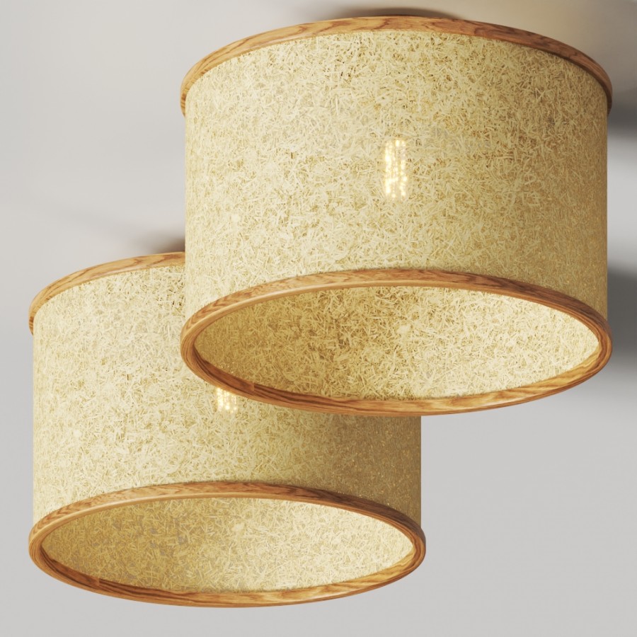 Almut Von Wildheim 2610 Ceiling Lamp 3D Model for VRay, Corona | CGMood