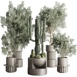 Collection Indoor Plant And Cactus 237 Concrete Di
