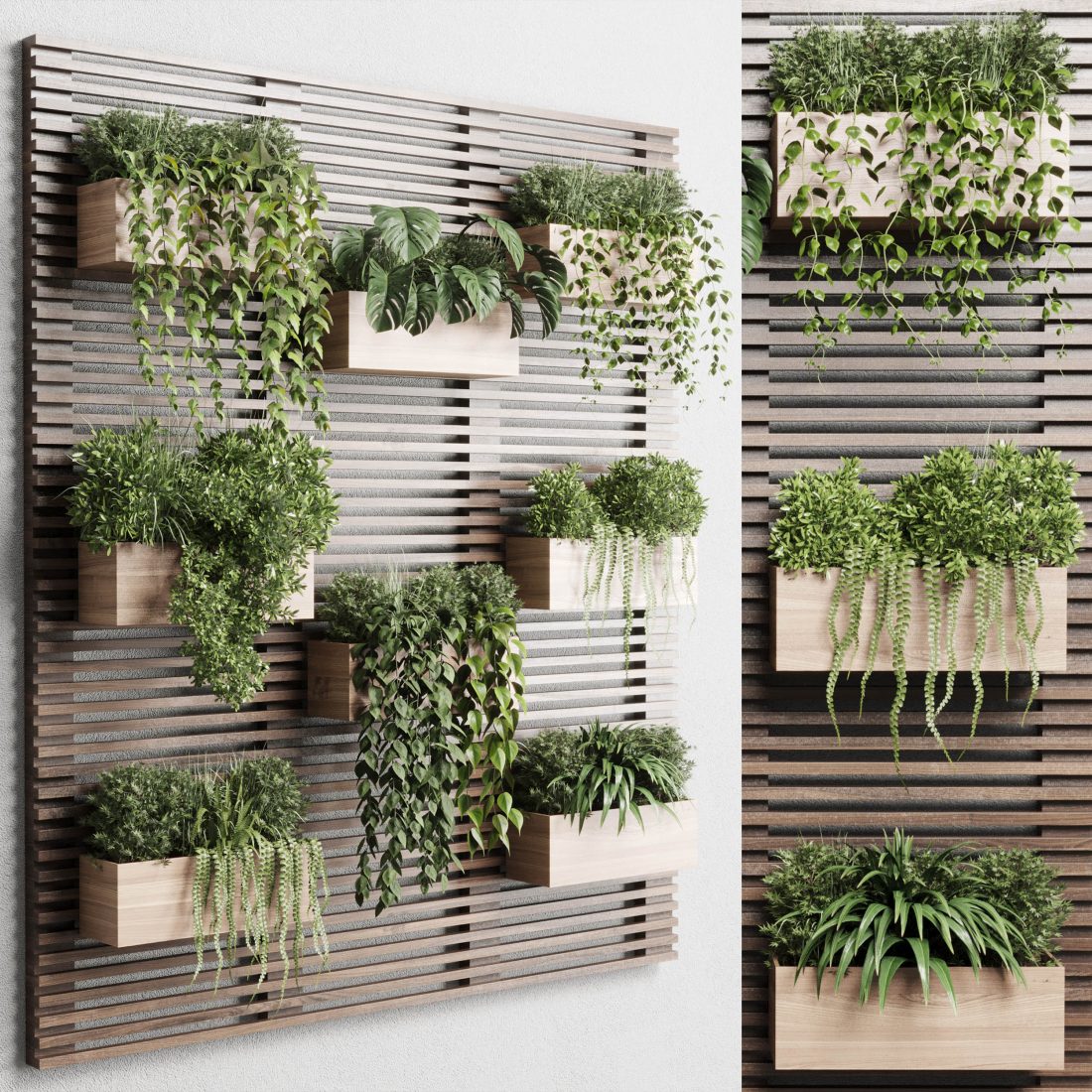 Plant Framelayout Plants Set Partition In Wooden Frame Vertical Gr 3D Model for VRay ...