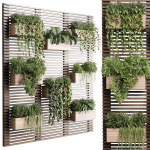 Plants Set Partition In Wooden Frame Vertical Gr