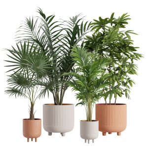 Indoor Plants Pack 22