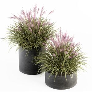 Outdoor Plant Set 246 - Grass In Pot