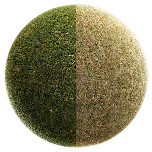 Scanned Grass Materials (2 Materials)