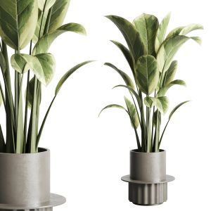 Indoor Outdoor Plant 162 Concrete Dirt Vase Pot Fi