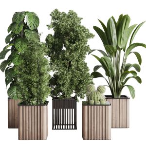 Stand Plant Box Collection Indoor Plant 242 Wood