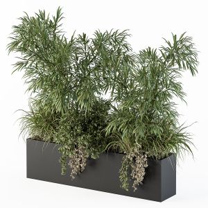Outdoor Plant Set 252 - Plant Box With Bamboo Tree