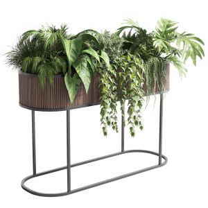 Stand Plant Box Collection Indoor Plant 243 Wood