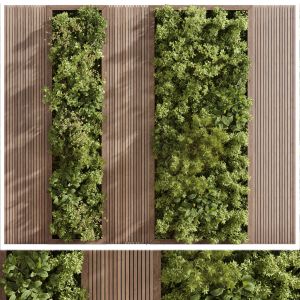 Vertical Wall Garden With Wooden Frame - Set Of In
