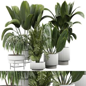 indoor Plant 360