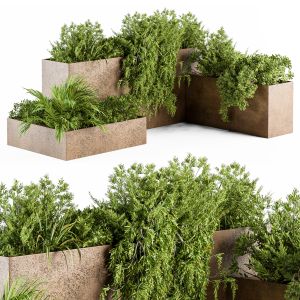 Outdoor Plant 377- Wooden Plant Box