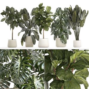 Set Of Beautiful Plants And Trees In Pot For Decor