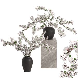 Vases With Branches White Cherry