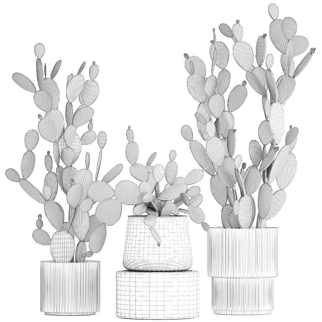 A cluster of prickly pear cacti nestled in terracotta pots, their spines casting intricate shadows on the clay surfaces
