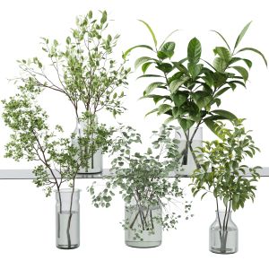 Collection Green Plants Bouquet Indoor 34