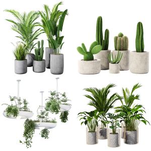 Indoor plant collection set 01