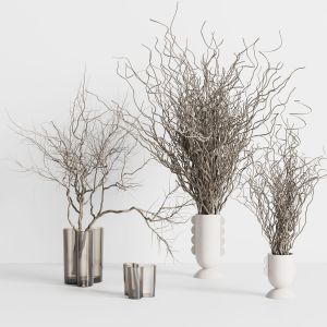Dried Branches With Concrete And Glass Vase - Bouq
