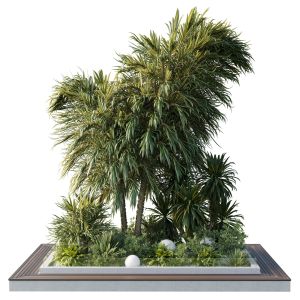 A Garden Of Plants Shrubs And Palms - Outdoor Gard