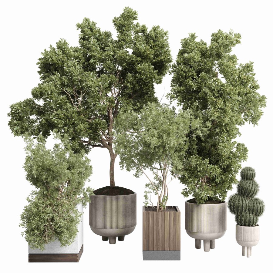 Collection Indoor Outdoor Plant 405 Plant Tree Vas - 3D Model for ...