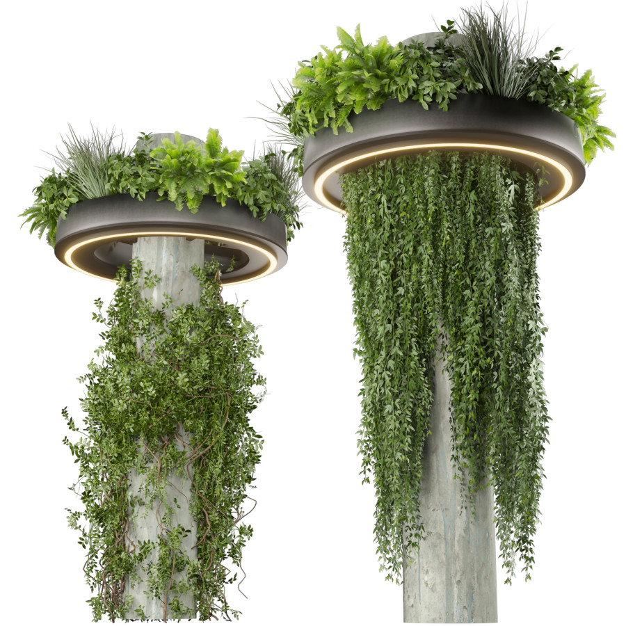 Max Column With Plants Collection Plant Vol 532 - Ampelous - Column 3D Model for VRay, Corona ...