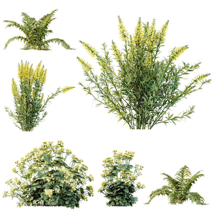 Av 10 Different Colorful Spring Bushes - 3D Model for VRay, Corona