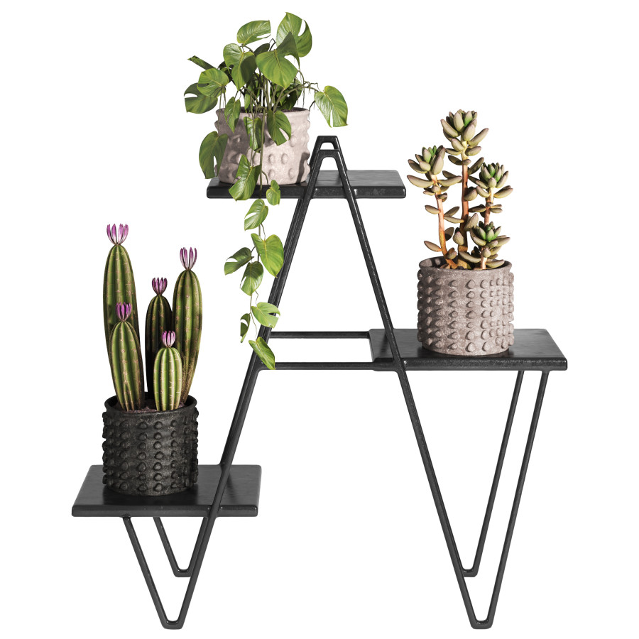 Potted Plants by roxana ghanian