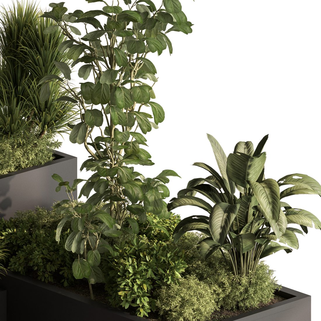 Outdoor Plants 704 - Tropical Garden 3D Model for VRay, Corona