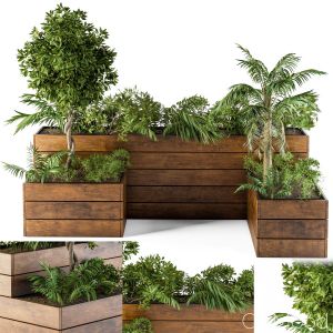 Outdoor Plants-flower Box 2