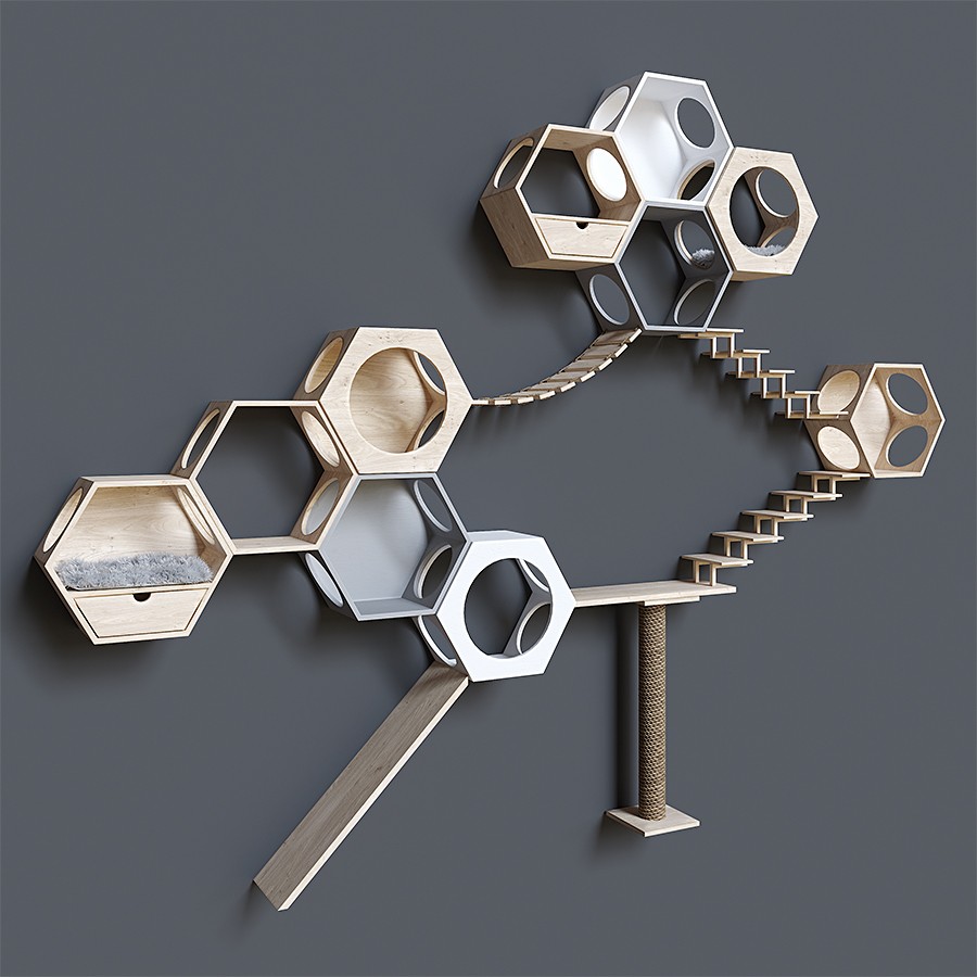 Cat Complex - 3D Model for Corona