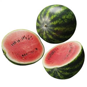 Watermelon. 3 Models