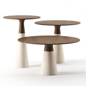 Leaf Side Tables By Neutra