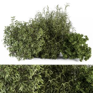 Mixed Plant Bush - Bush Set 37