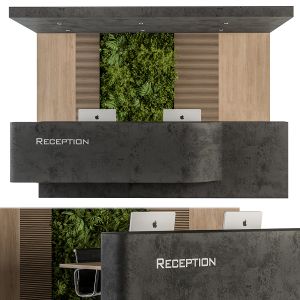 Reception Desk And Wall Decoration - Set 07