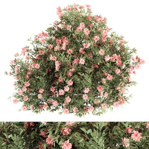 Pink Flower Plant Bush - Bush Set 33