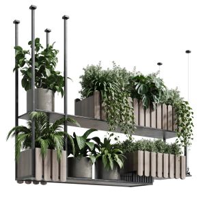 Hanging Box Potted Plants 260