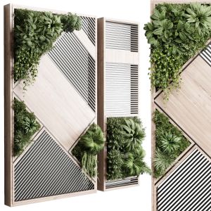 Plants Set Partition In Wooden Frame Vertical Gra