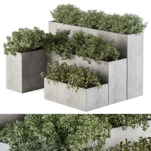 Outdoor Plant Set 277 - Concrete Plant Box Set